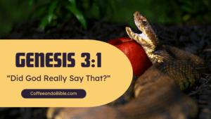 did God really say that?