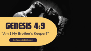 am i my brother's keeper?
