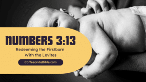 levites firstborn