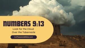 numbers 9