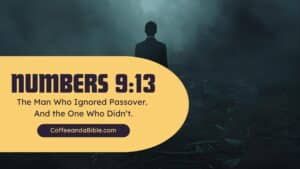 numbers 9
