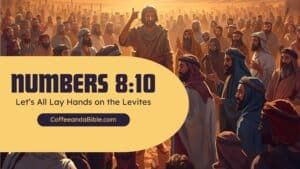 numbers 8