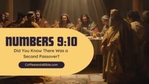 numbers 9