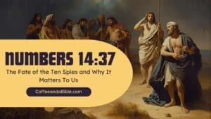 numbers 14