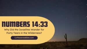 numbers 14