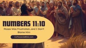 numbers 11