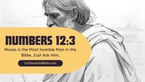 numbers 12