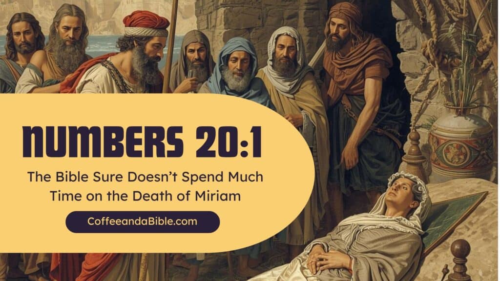 numbers 20