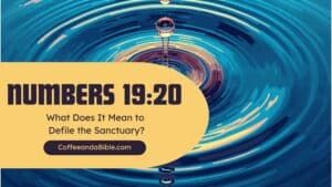 numbers 19