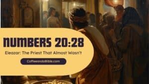 numbers 20