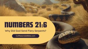 numbers 21