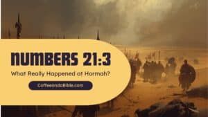 numbers 21
