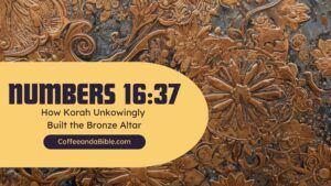 numbers 16