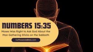 numbers 15