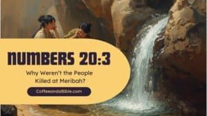 numbers 20