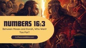Numbers 16