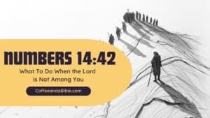 numbers 14