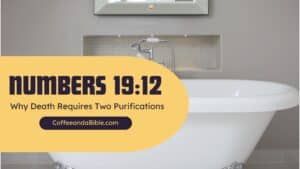 numbers 19