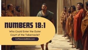 numbers 18