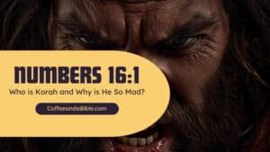 numbers 16