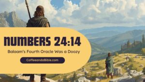 numbers 24