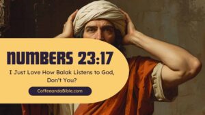 numbers 23