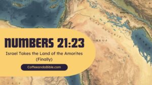 numbers 21