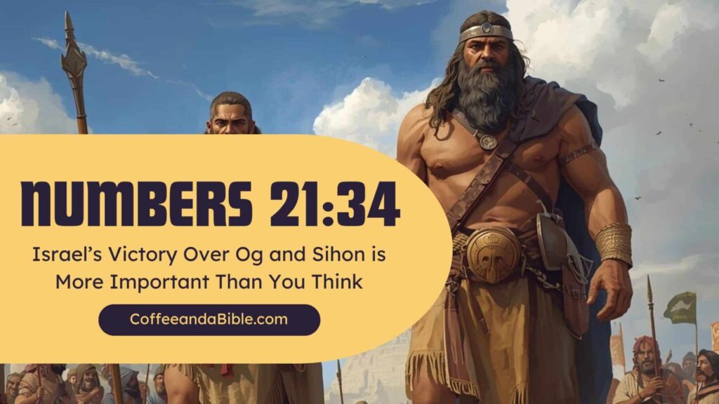 numbers 21