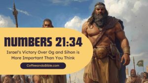 numbers 21