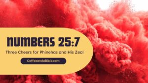 numbers 25