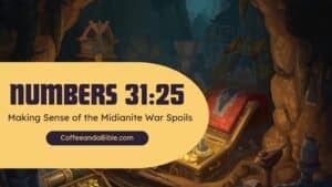 divide up the booty battle of midian