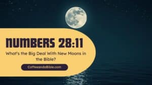 new moons