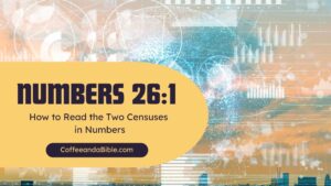 censuses in numbers
