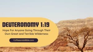 deuteronomy 1:19