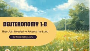 deuteronomy 1:8