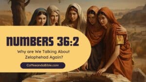 numbers 36:2