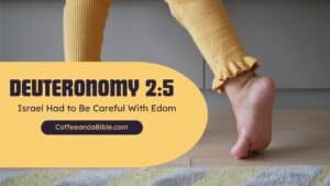 deuteronomy 2:5