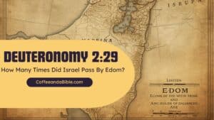 deuteronomy 2:29