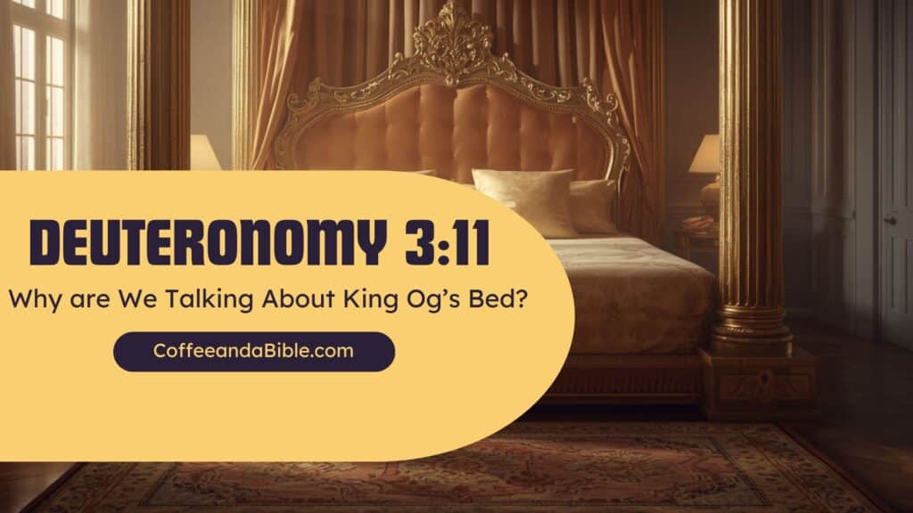 deuteronomy 3:11