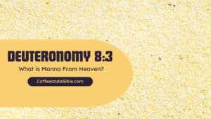 deuteronomy 8