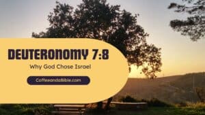 deuteronomy 7:8