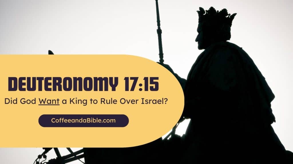 deuteronomy 17:15