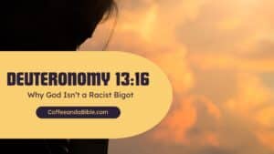 deuteronomy 13:16