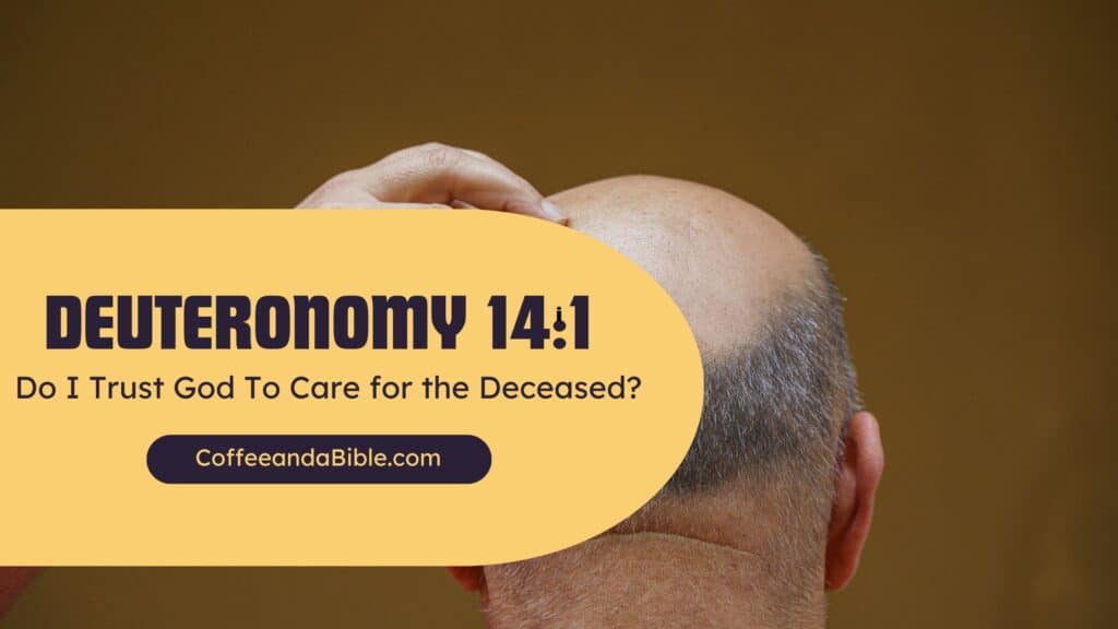 deuteronomy 14:1