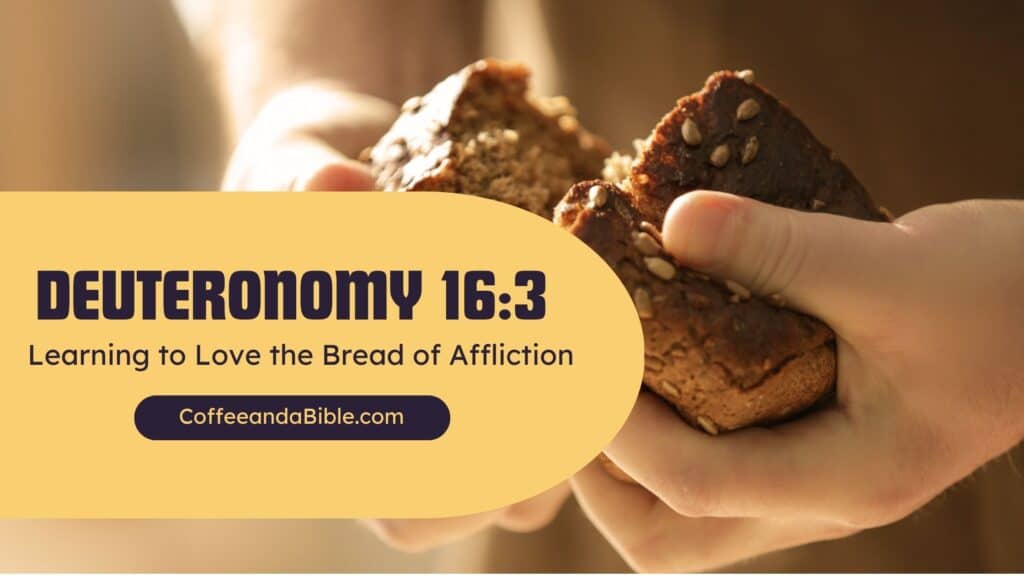 deuteronomy 16:3