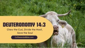 deuteronomy 14:6