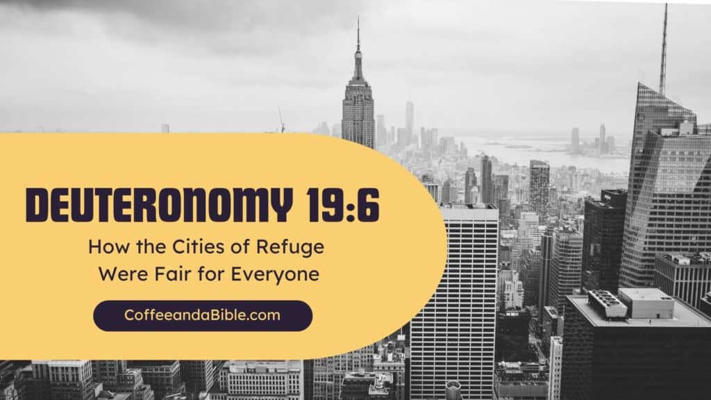 deuteronomy 19:6