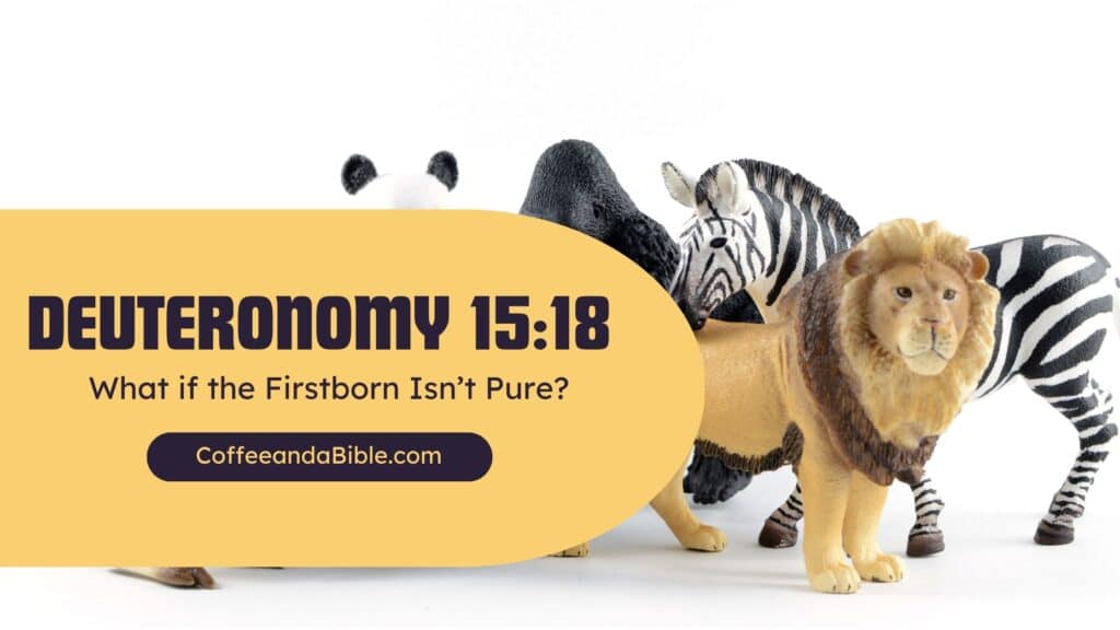 deuteronomy 15:21