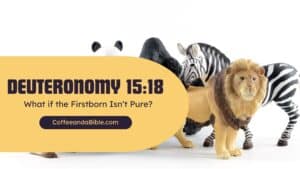 deuteronomy 15:21