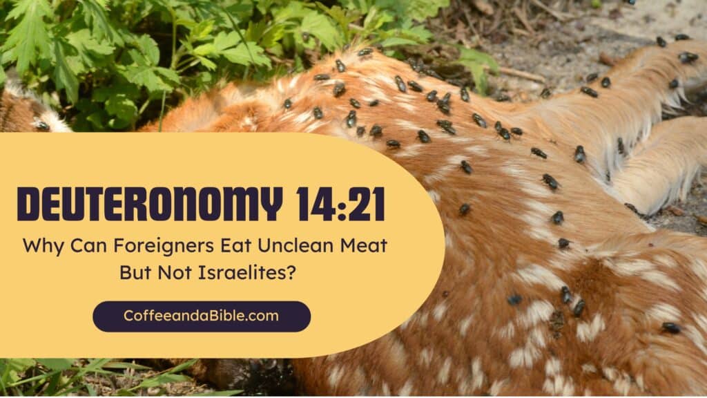 deuteronomy 14:21